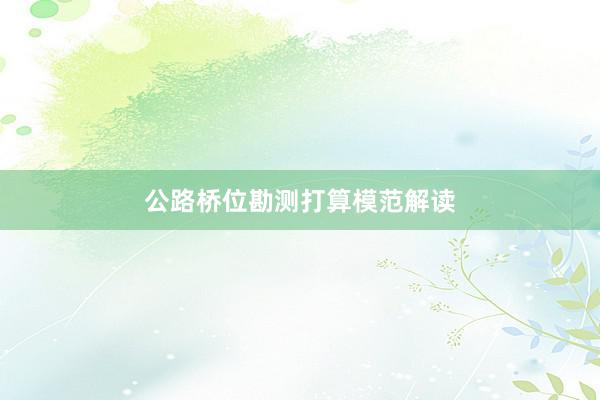 公路桥位勘测打算模范解读