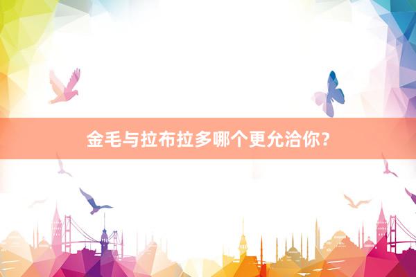 金毛与拉布拉多哪个更允洽你？
