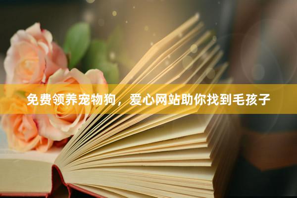 免费领养宠物狗，爱心网站助你找到毛孩子