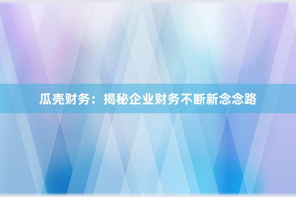 瓜壳财务：揭秘企业财务不断新念念路